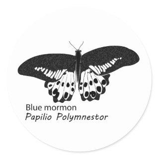 Blue mormon butterfly is a butterfly speciescan  classic round sticker