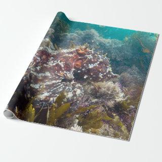 Blue ocean coral octopus