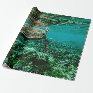 Blue ocean sea turtle swimming