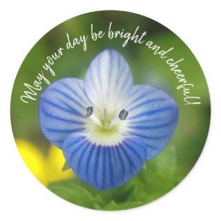 blue spring - stickers