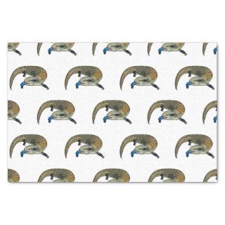 Blue-tongued skink cartoon illustration tissue paper