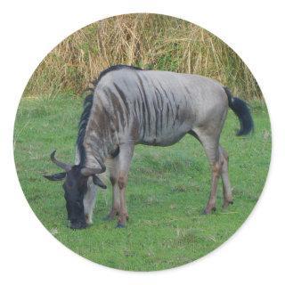Blue Wildebeest #1 Stickers