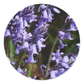 Bluebells Flowers Nature Floral Blue Purple Flower Classic Round Sticker