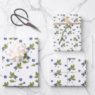Blueberries and Stems  Sheets