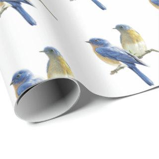 Bluebirds on White