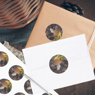 Bolete mushroom with yellow leaves  classic round sticker
