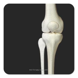 Bones of the Knee 4 Square Sticker