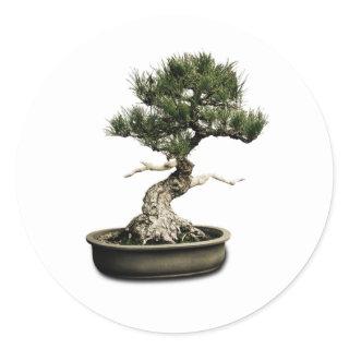 Bonsai Classic Round Sticker