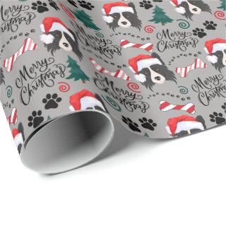 Border Collie Christmas