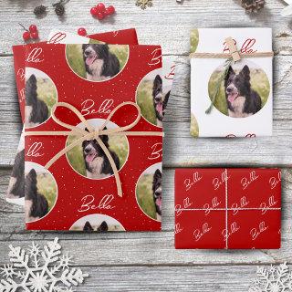 Border Collie Dog Photo Trendy Script Pet Name   Sheets
