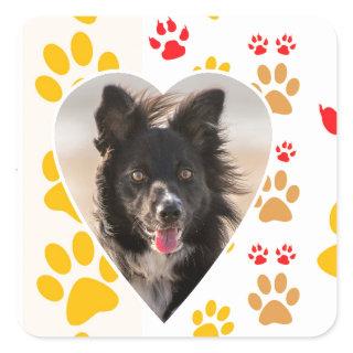 Border Collie Paw Print Love Heart Square Sticker