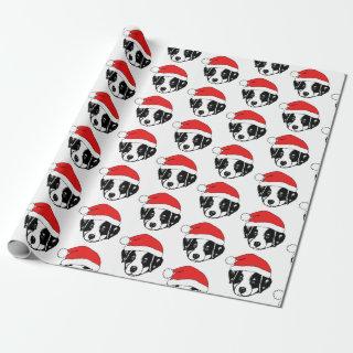 Border Collie Puppy Santa Hat