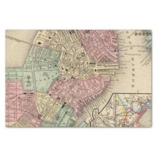 Boston Map by Mitchell Tissue Paper