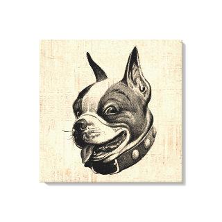 Boston Terrier Dog Cute Pet Dog Antique Art Canvas Print