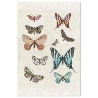 Botanical Butterfly Vintage Blue Peach Decoupage Tissue Paper
