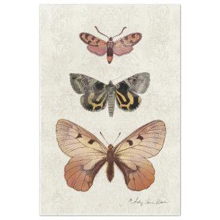 Botanical Butterfly Vintage Peach Blush Decoupage Tissue Paper