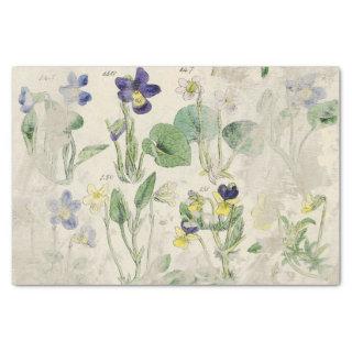 Botanical Violets Pressed Flower Vintage Tissue Pa Tissue Paper