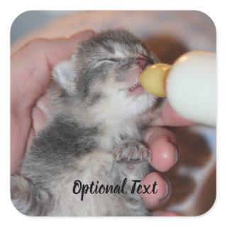 Bottle Feeding Newborn Rescue Tabby Kitten Square Sticker