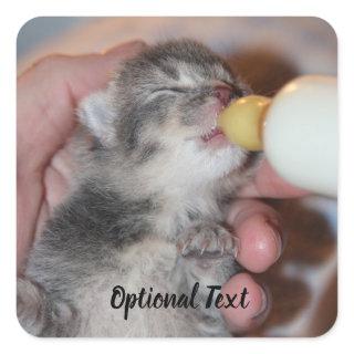 Bottle Feeding Newborn Rescue Tabby Kitten Square Sticker