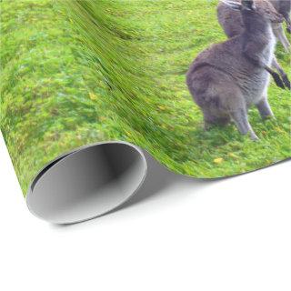 Boundless Horizons: Gray Kangaroos on Grassy Plain