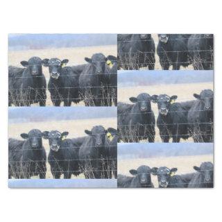 Bovine bystanders tissue paper