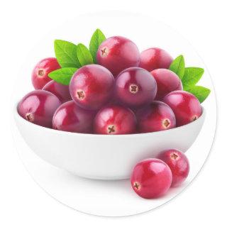 Bowl of cranberries classic round sticker