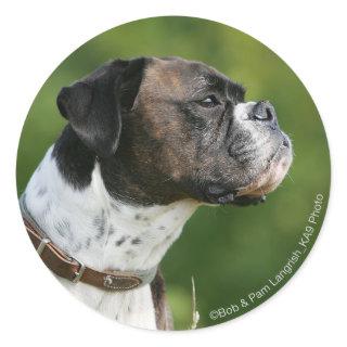 Boxer Dog Profile Classic Round Sticker