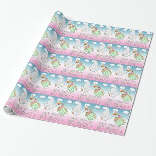 Boy & Girl Twins - Stork Baby Shower Gift Wrap
