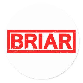 Briar Stamp Classic Round Sticker