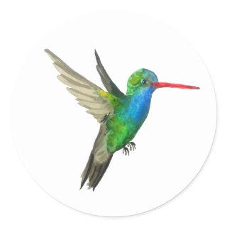 Broad-billed Hummingbird Classic Round Sticker