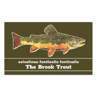 Brook Trout Fly Fishing Latin Name Ichthyology Rectangular Sticker