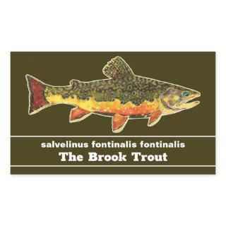 Brook Trout Fly Fishing Latin Name Ichthyology Rectangular Sticker