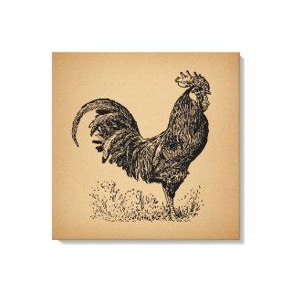 Brown Antique Rooster Illustration Chicken Art Canvas Print