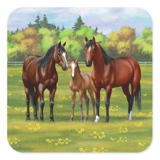 Brown Bay Quarter Horses In Summer Pasture Square Sticker