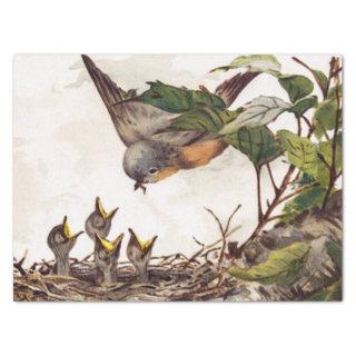 Brown Bird and Nest Decoupage Set Robin 4 of 4 Tissue Paper