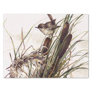 Brown Bird and Nest Decoupage Set Wren 2 of 4 Tissue Paper