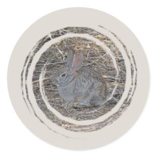 Brown Bunny Cute Desert Rabbit Photo Nature Classic Round Sticker