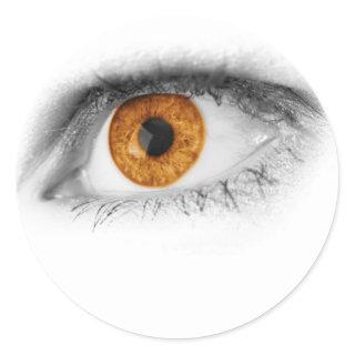 Brown Eye Art Classic Round Sticker