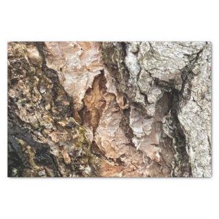 Brown Gray Tree Bark Texture Old Photo Art Tissue Paper