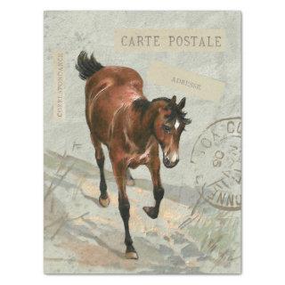 Brown Horse Carte Postale French Green Decoupage   Tissue Paper
