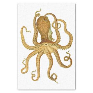 Brown Octopus  Tissue Paper