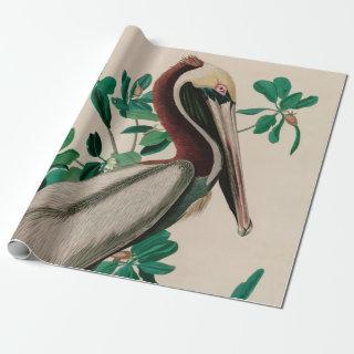 Brown Pelican Birds of America Audubon Print