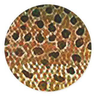 Brown Trout Fish Skin Print Classic Round Sticker