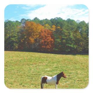 Brown & White horse,autumn trees,blue sky Square Sticker