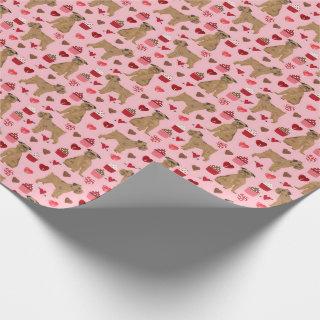 Brussels Griffon Love Valentines Gift Wrap