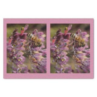 Bubble Bees Tissue Paper