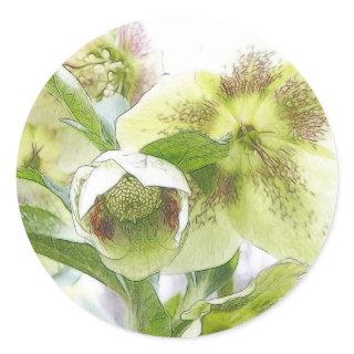 Bud To Blossom - White Hellebores Classic Round Sticker