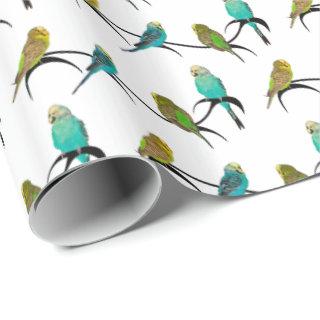 Budgie Frenzy  (choose colour)