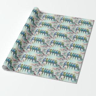 Budgies
