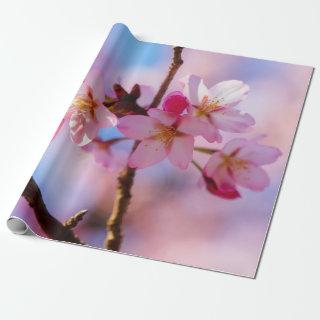 Bunch Of Sakura Flowers In A Shadow Of A Tree
